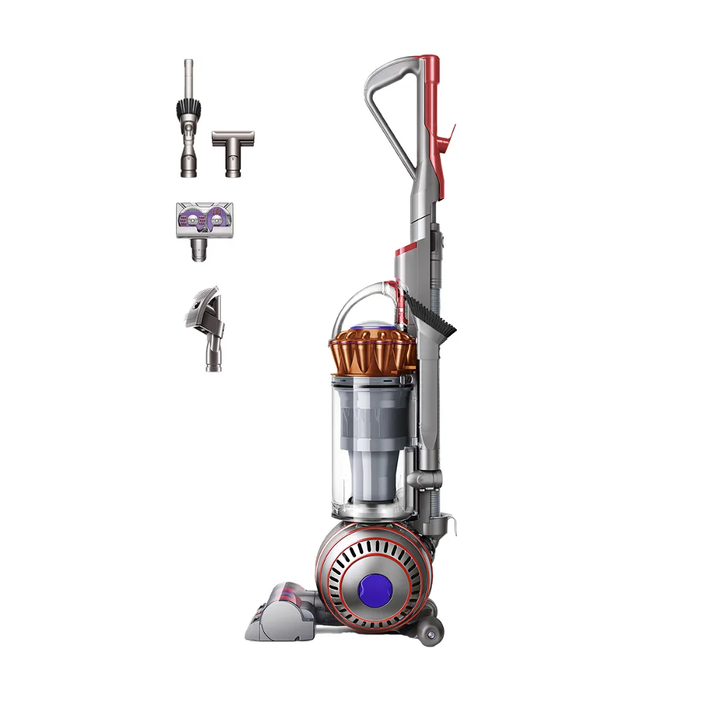 Dyson Ball Animal 3 Extra